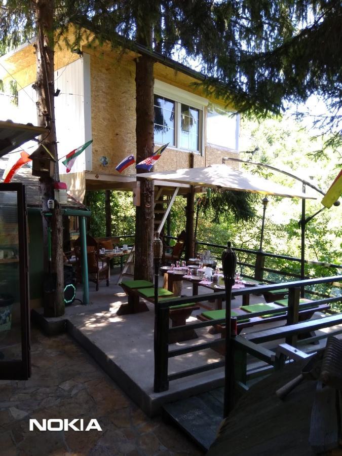 Апартаменти Tree House Вісоко Екстер'єр фото