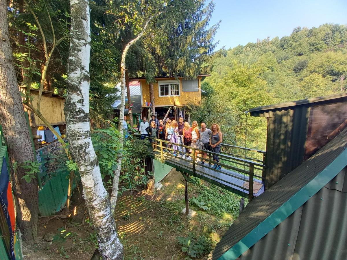 Апартаменти Tree House Вісоко Екстер'єр фото