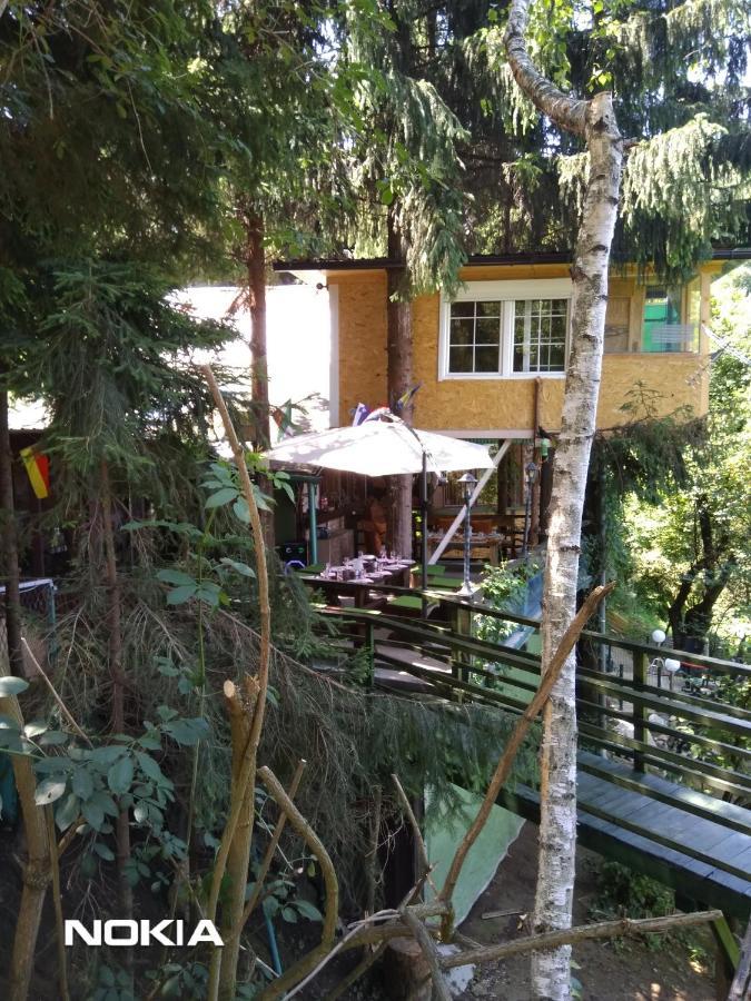 Апартаменти Tree House Вісоко Екстер'єр фото