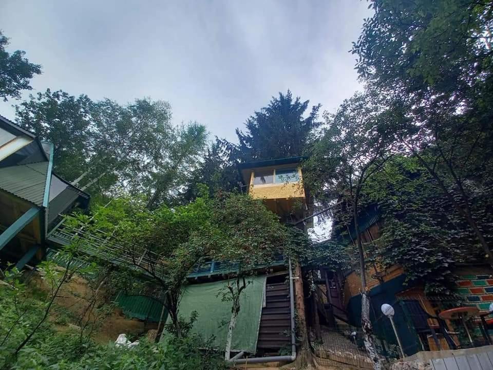 Апартаменти Tree House Вісоко Екстер'єр фото